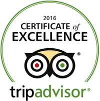 trip advisor award for excellence cayman horseback riding